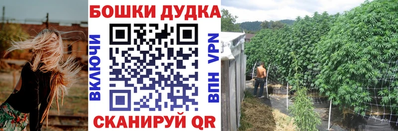 Купить закладку Cocaine  Каннабис  Мефедрон  ГАШ  Волосово