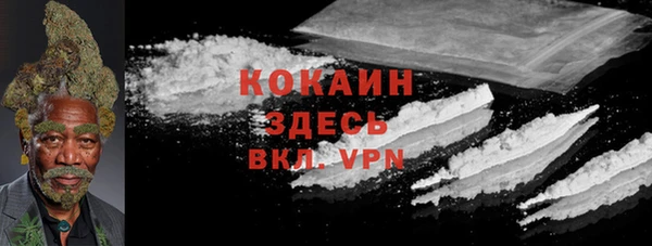 спиды Арсеньев