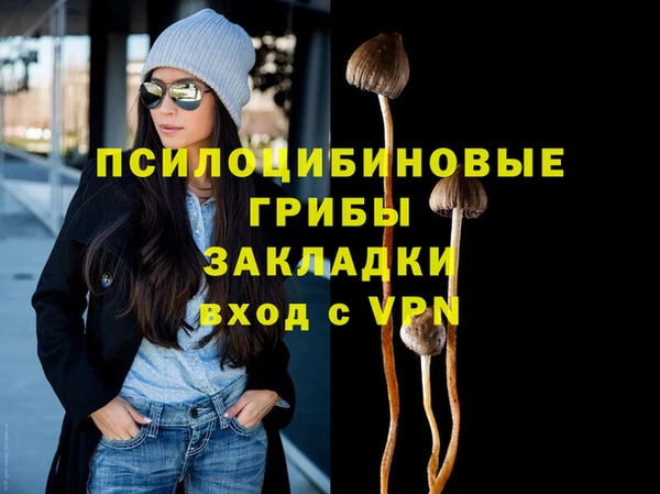 МДПВ Алексин
