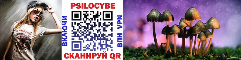 Купить  Волосово  Галлюциногенные грибы Psilocybe 