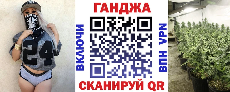 Купить закладки Волосово Конопля SATIVA & INDICA